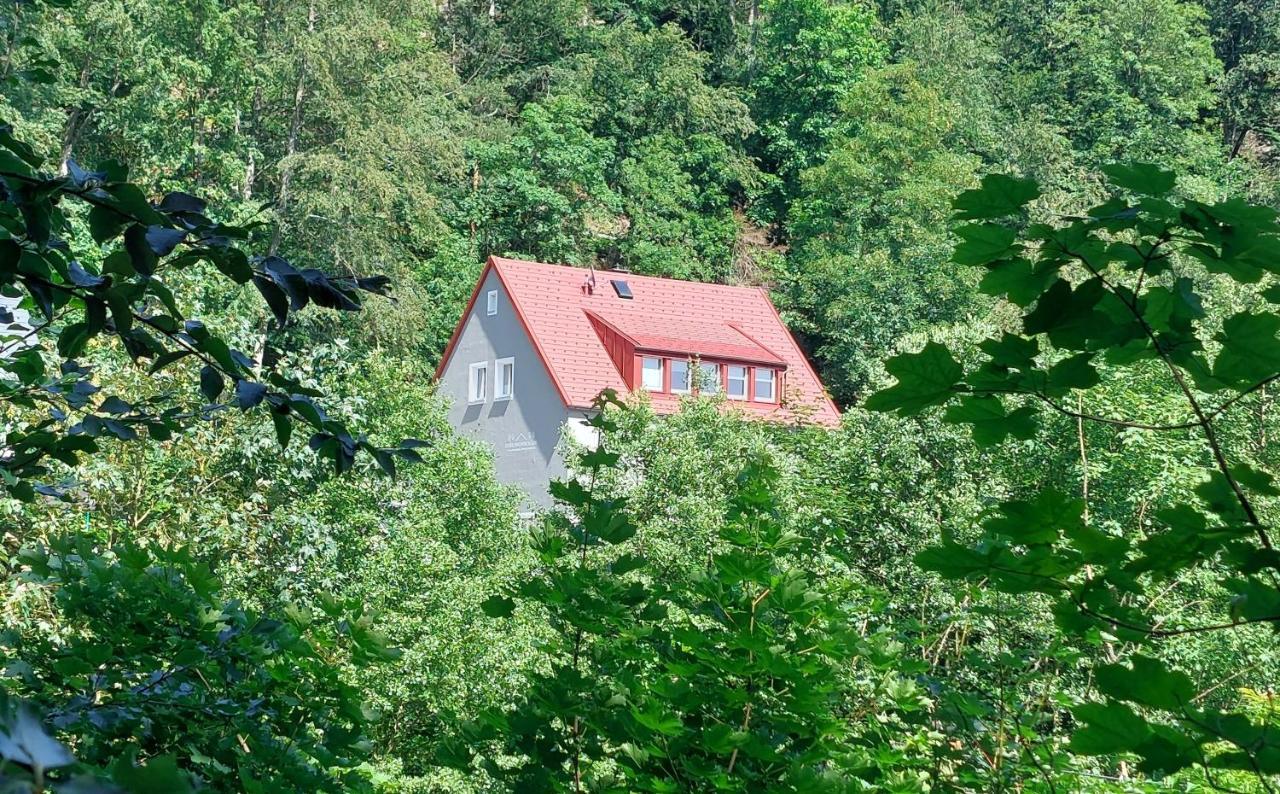Am Quellenhaeuschen Apartment Naila Exterior foto